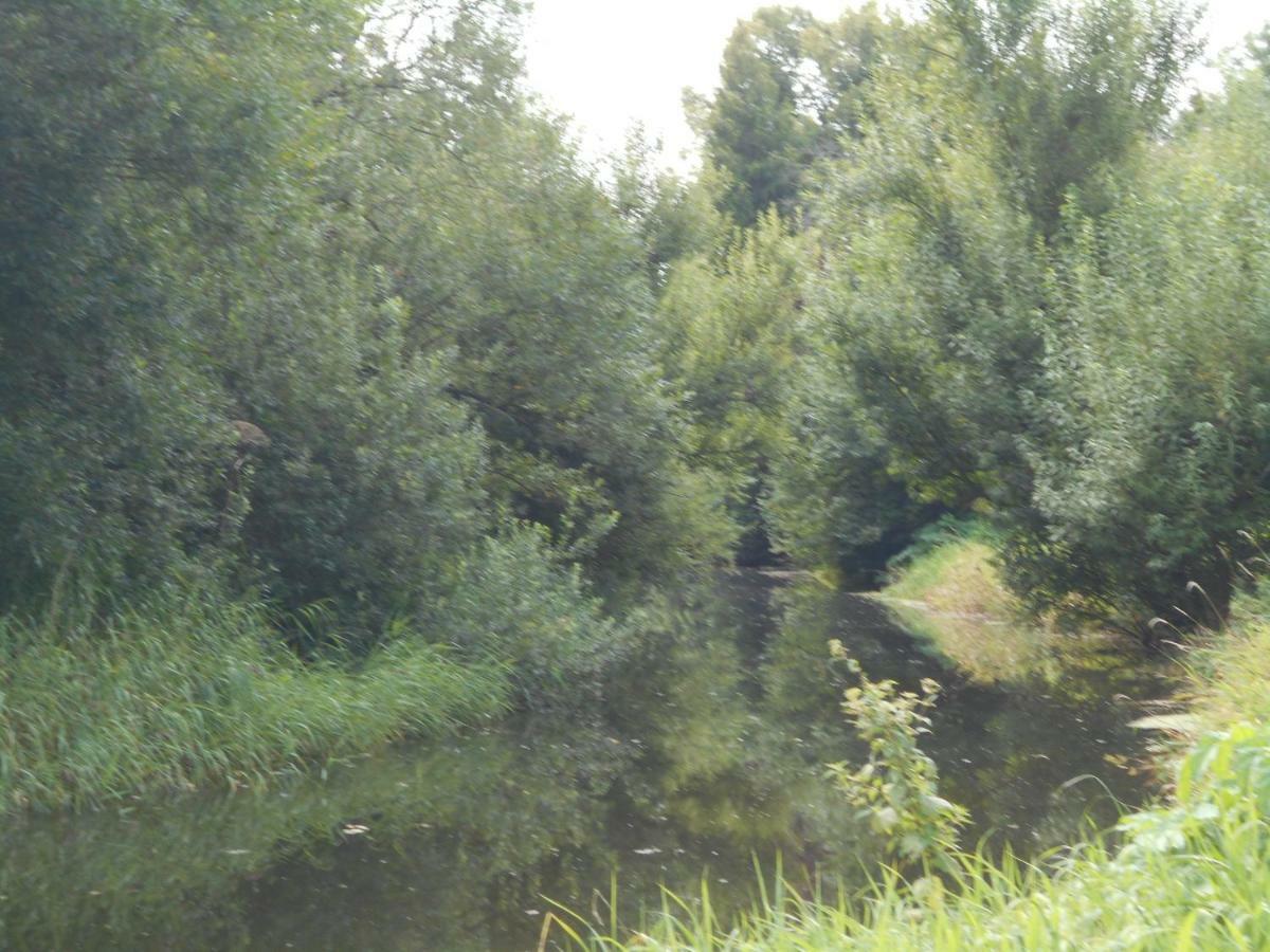 Fewo Fleckeby An Der Schlei Apartment Екстериор снимка